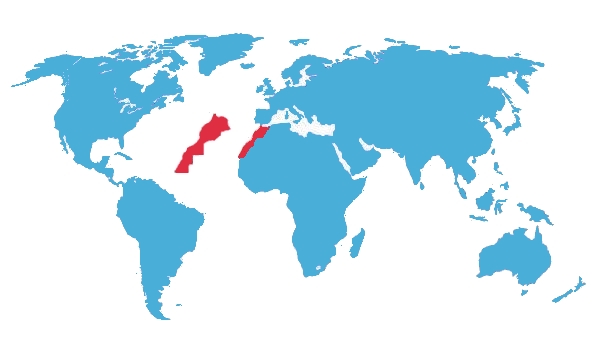 Il Regno del Marocco